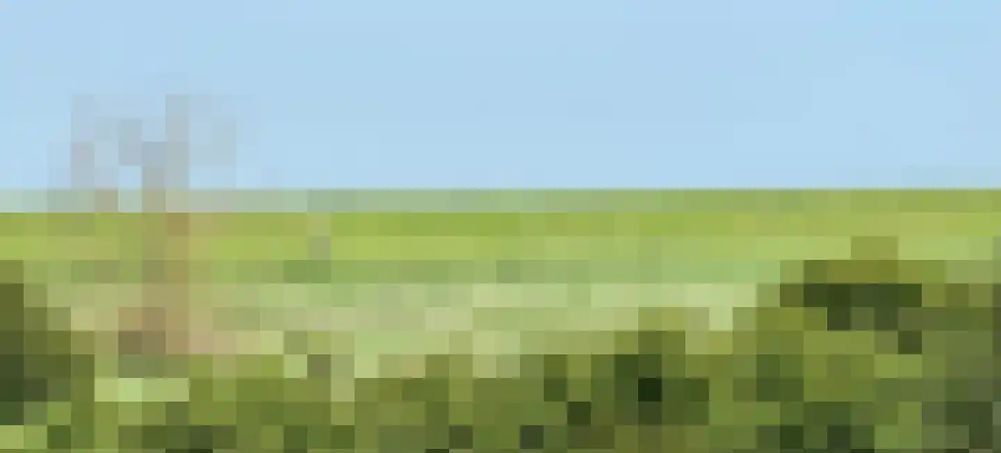 Stopperknoop 16 Almere thumbnail 38