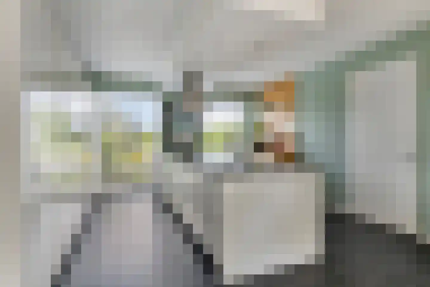 Stopperknoop 34 Almere thumbnail 24