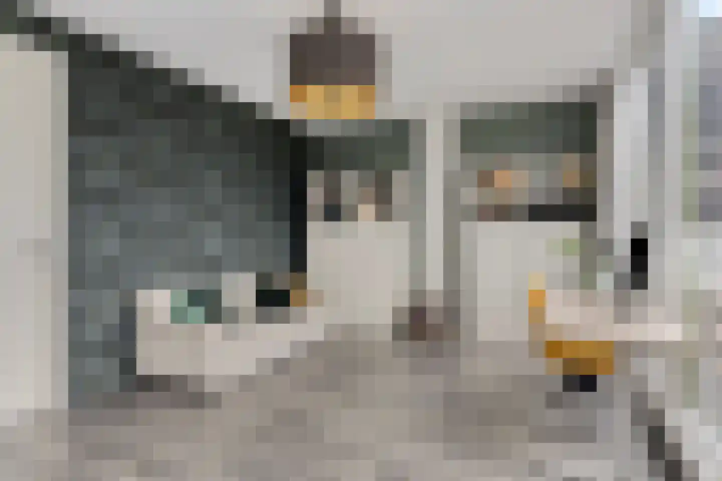 Stopperknoop 34 Almere thumbnail 41