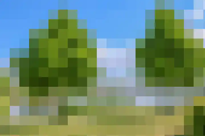 Stopperknoop 38 Almere thumbnail 65