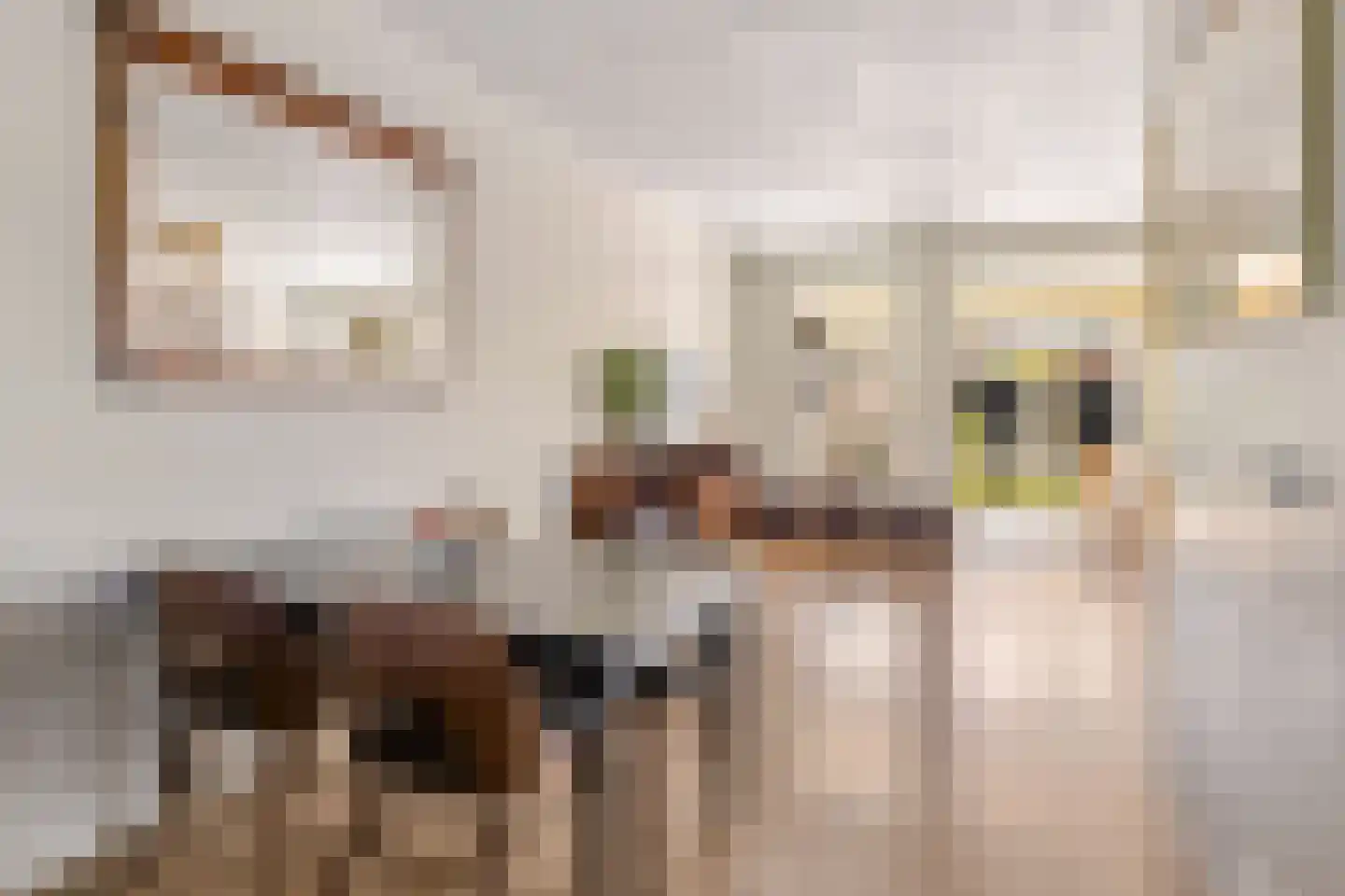 Stopperknoop 42 Almere thumbnail 10