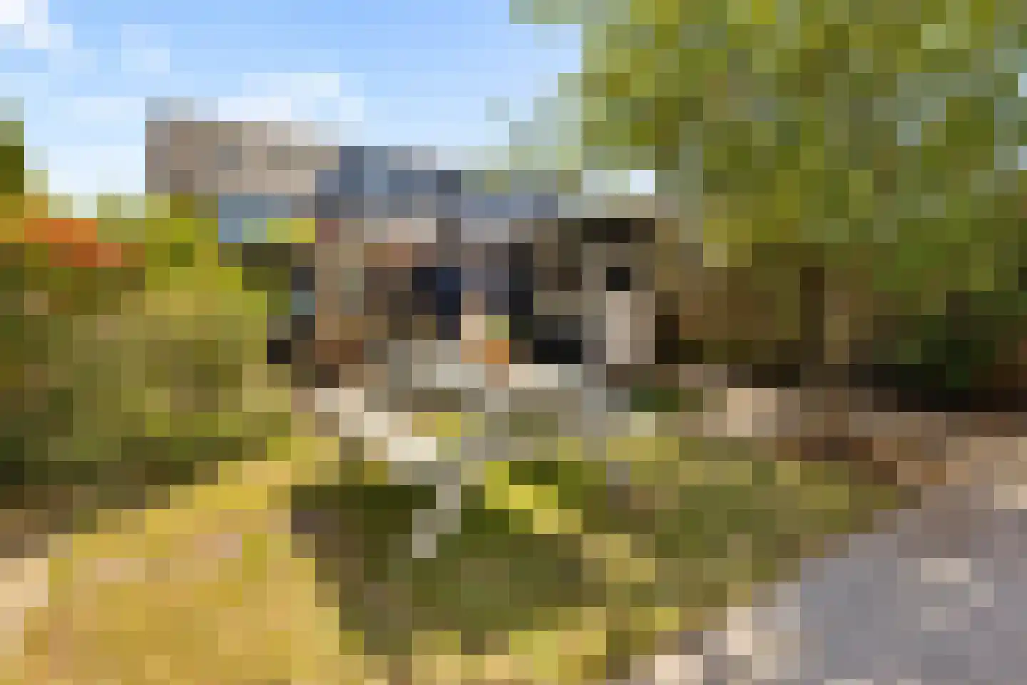 Stopperknoop 42 Almere thumbnail 18