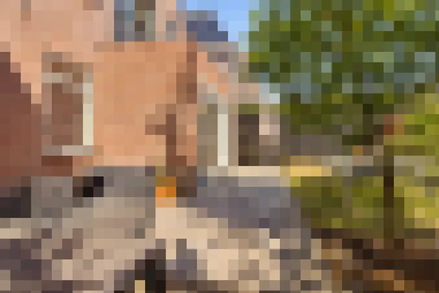 Stopperknoop 42 Almere thumbnail 21