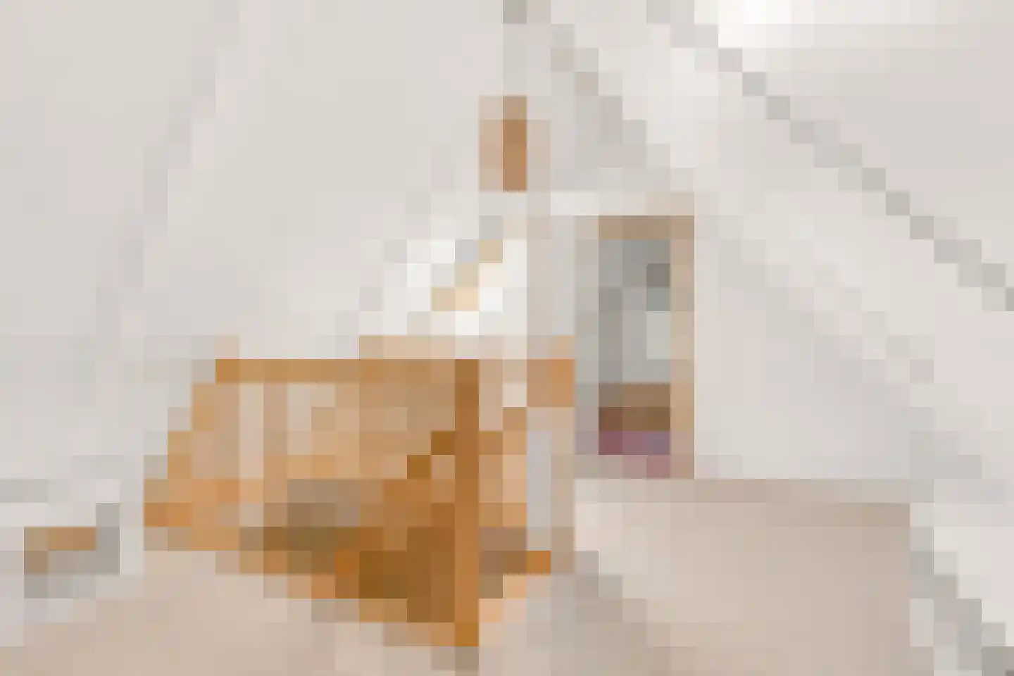 Stopperknoop 42 Almere thumbnail 37