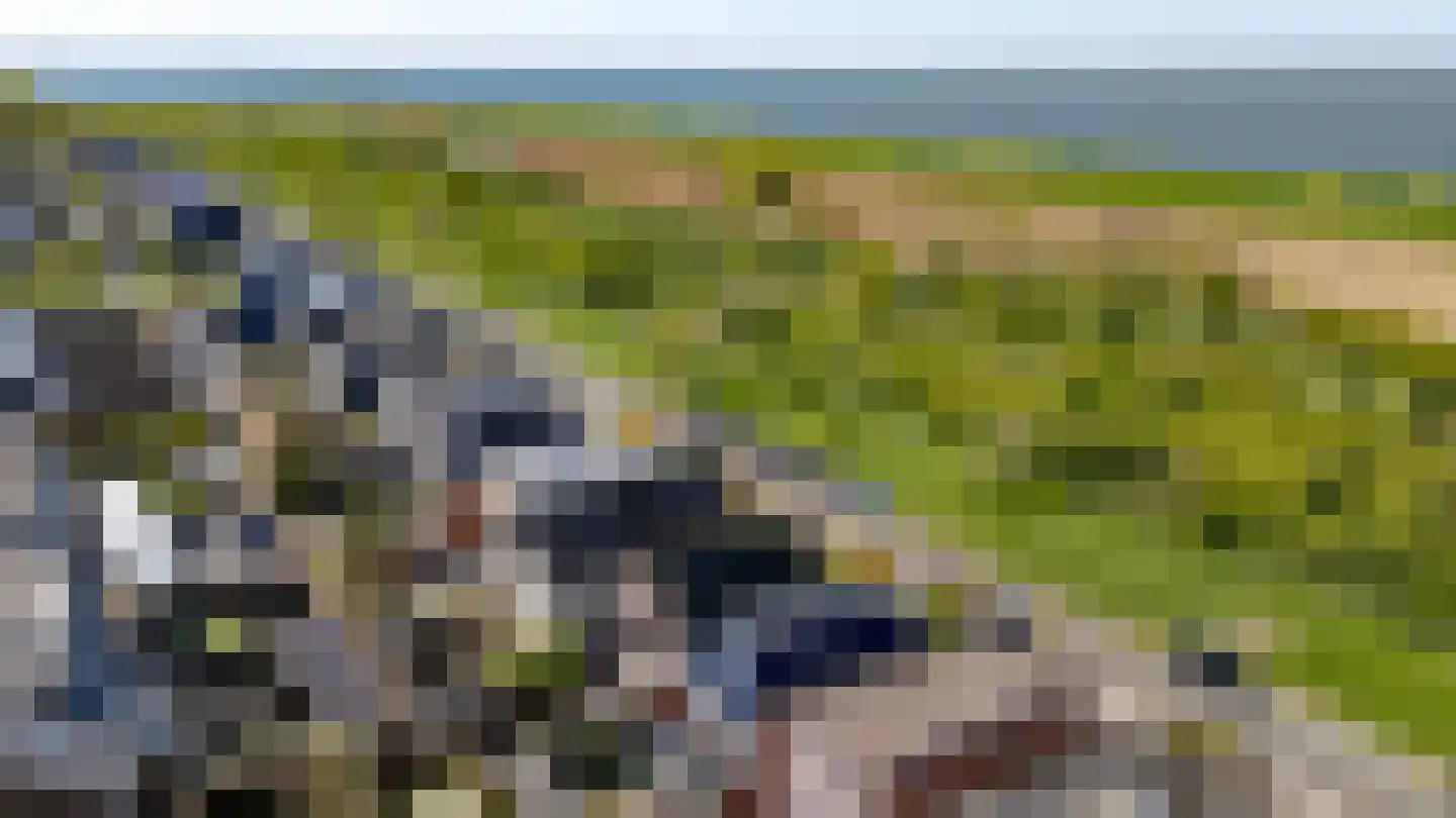 Stopperknoop 42 Almere thumbnail 63