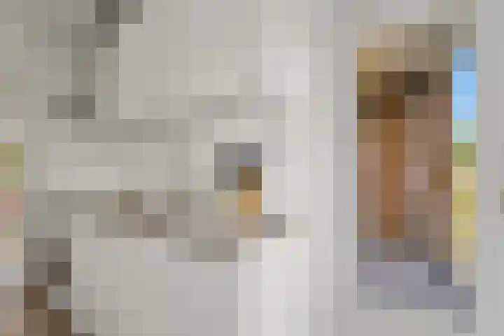 Storklaan 15 Delft thumbnail 14