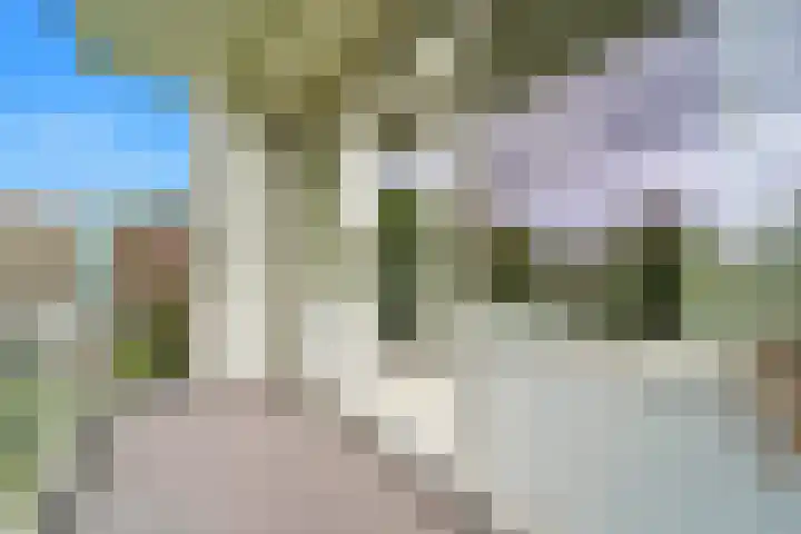 Storklaan 15 Delft thumbnail 26