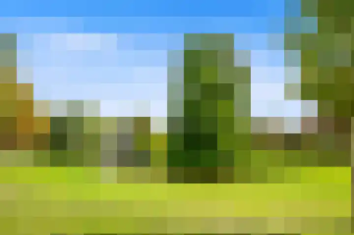 Storklaan 15 Delft thumbnail 32