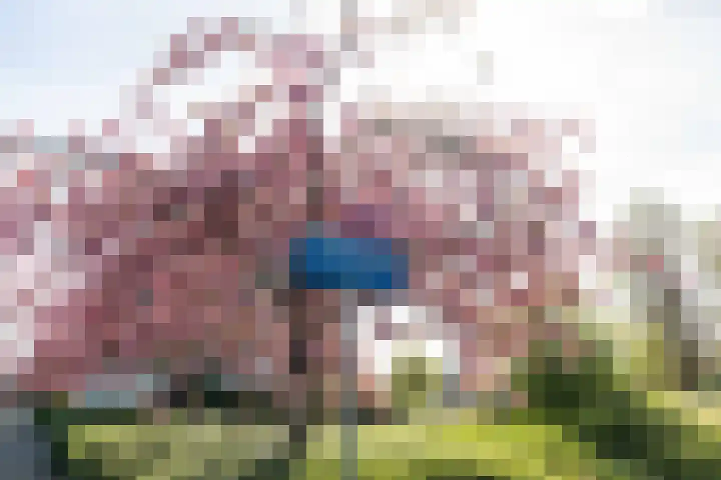 Storklaan 27 Delft thumbnail 37