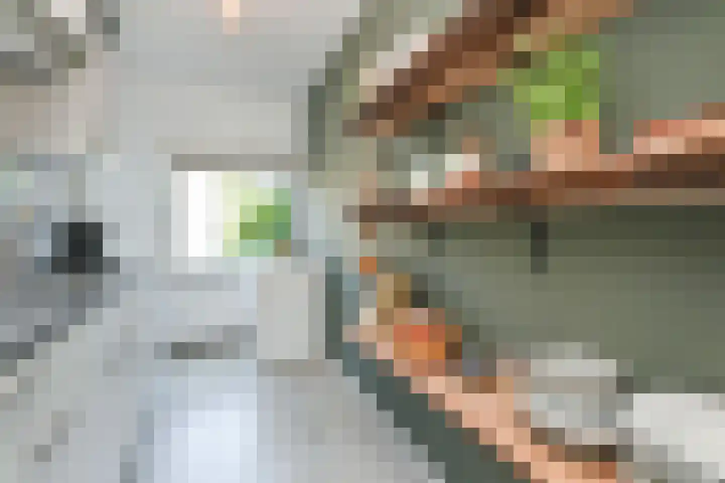 Storklaan 28 Delft thumbnail 17