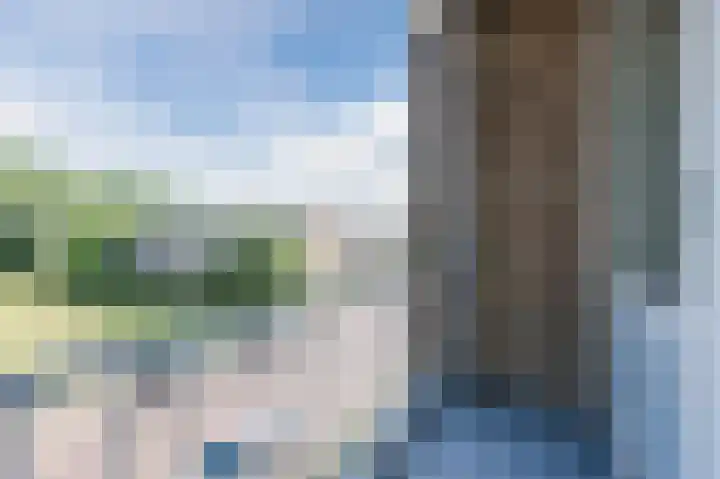 Storklaan 54 Delft thumbnail 8