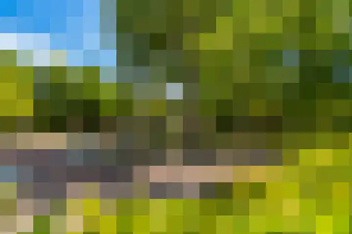 Storm van 's-Gravesandeweg 10 Wassenaar thumbnail 66