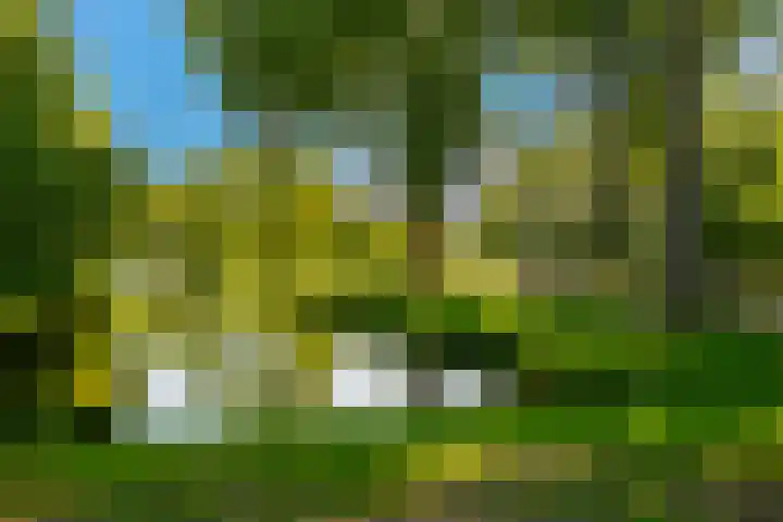 Storm van 's-Gravesandeweg 10 Wassenaar thumbnail 68