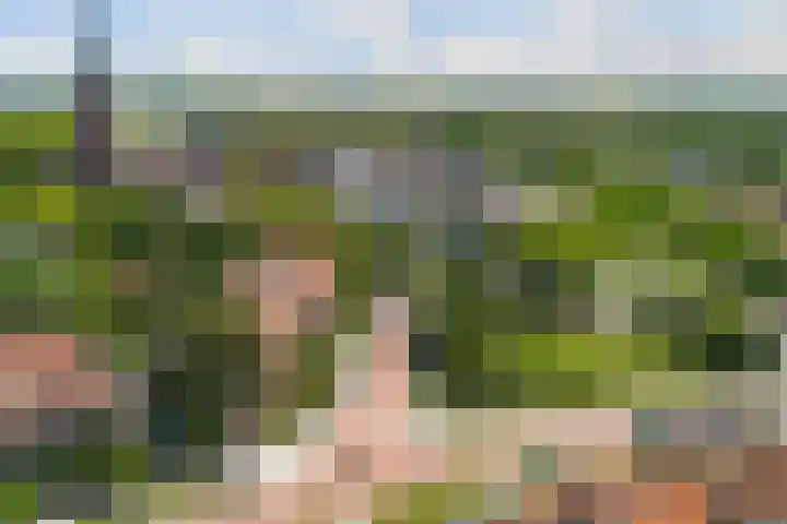Storm van 's-Gravesandeweg 10 Wassenaar thumbnail 71