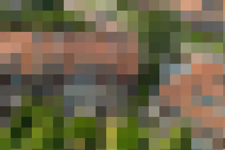 Storm van 's-Gravesandeweg 10 Wassenaar thumbnail 74