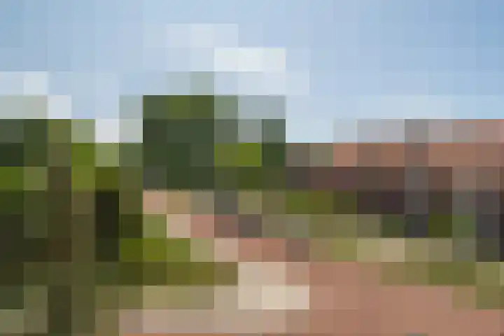 Storm van 's-Gravesandeweg 10 Wassenaar thumbnail 8