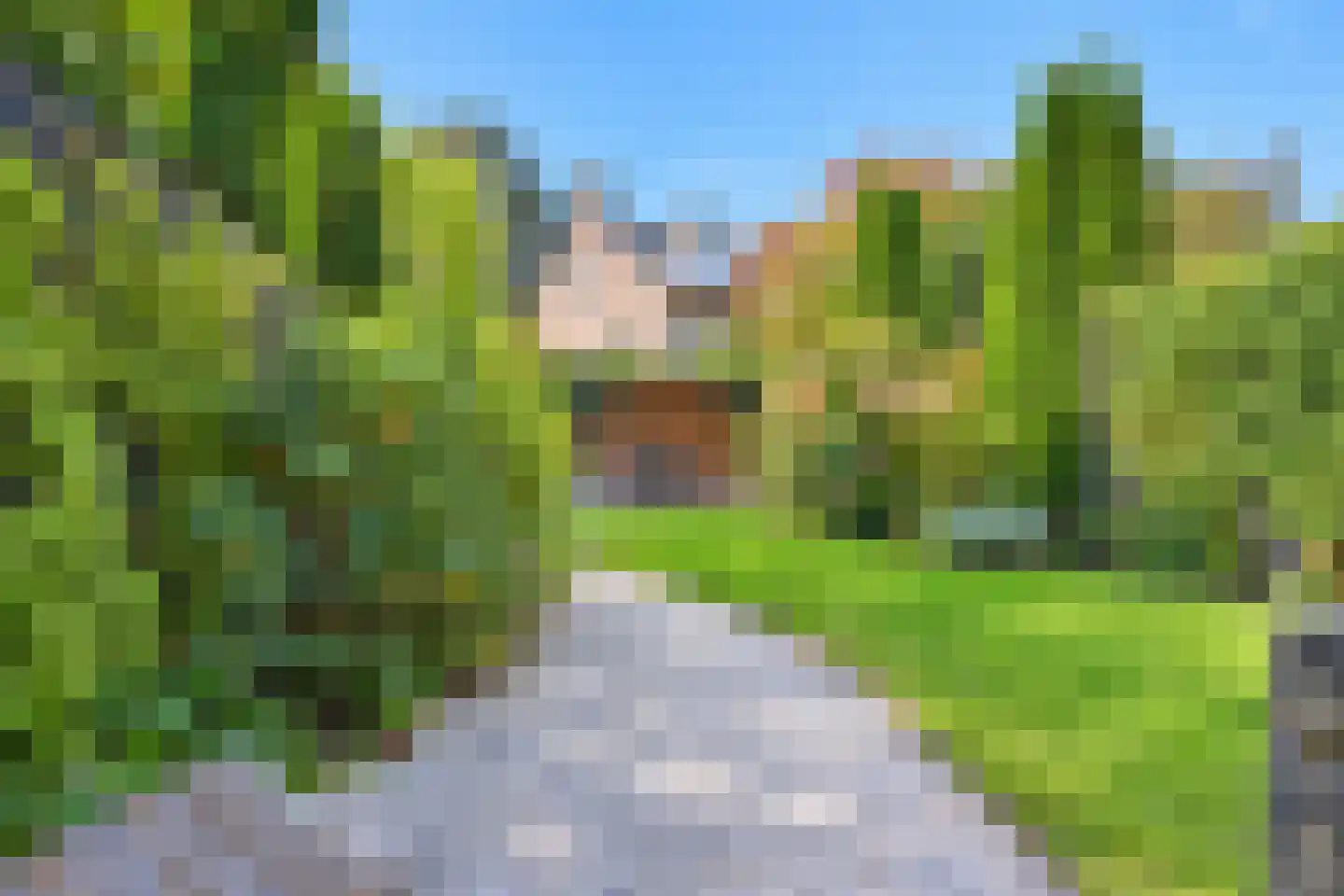 Storm van 's-Gravesandeweg 27 Wassenaar thumbnail 24