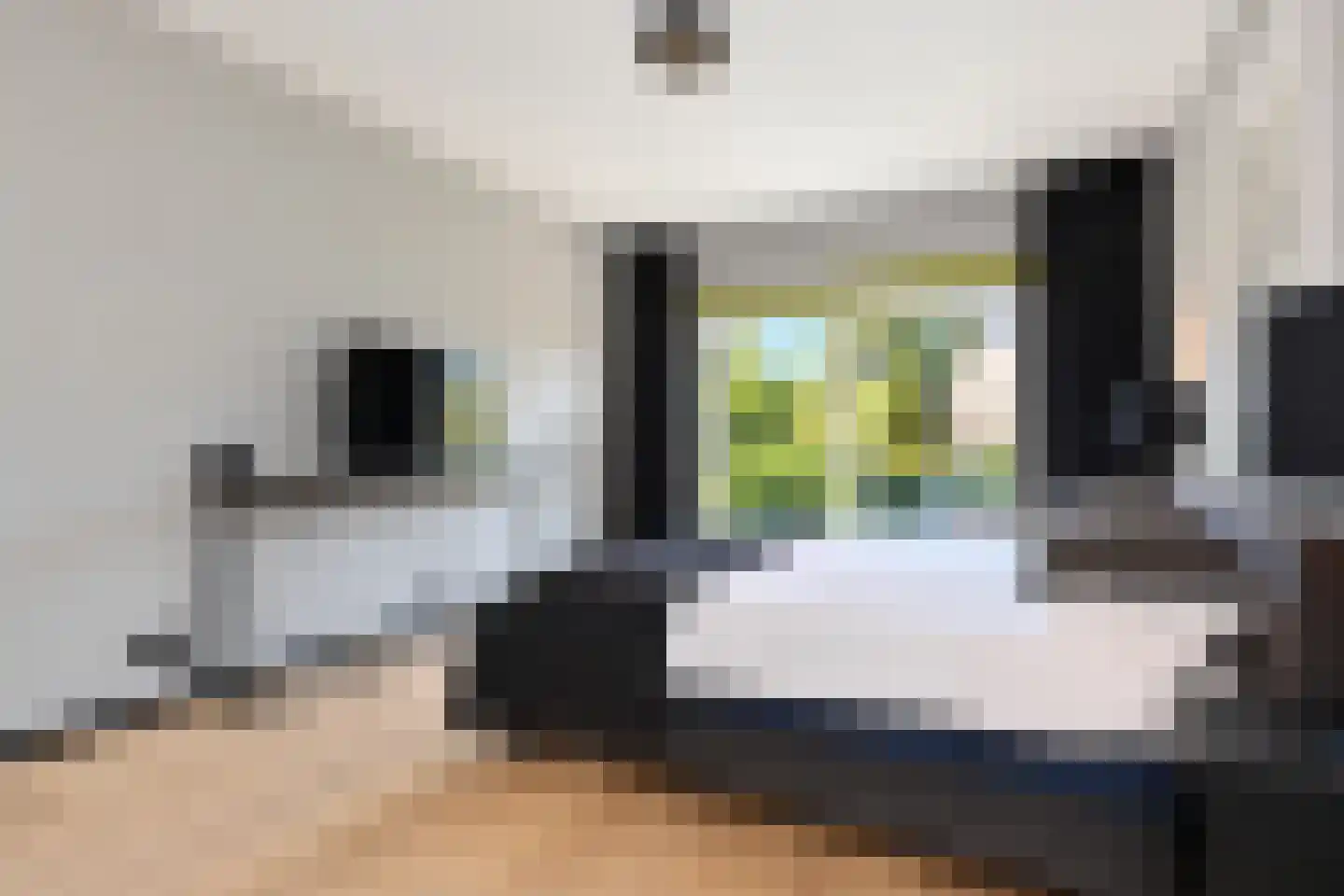 Storm van 's-Gravesandeweg 27 Wassenaar thumbnail 33