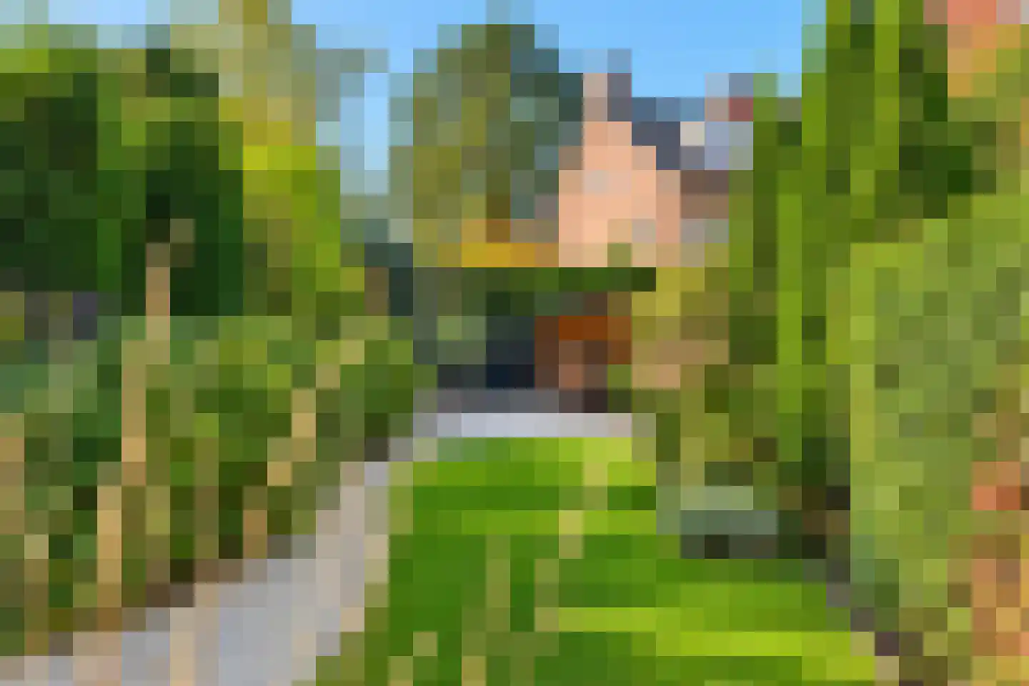 Storm van 's-Gravesandeweg 27 Wassenaar thumbnail 4