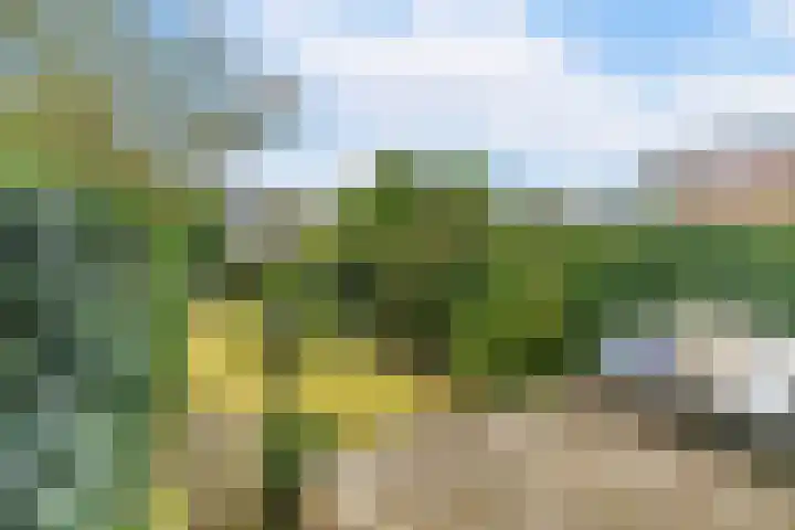 Storm van 's-Gravesandeweg 35 Wassenaar thumbnail 10