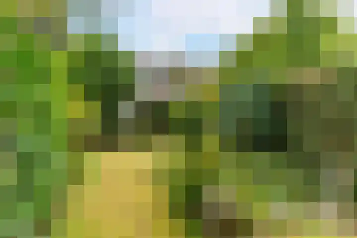 Storm van 's-Gravesandeweg 35 Wassenaar thumbnail 11