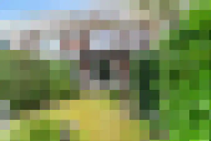 Storm van 's-Gravesandeweg 35 Wassenaar thumbnail 14