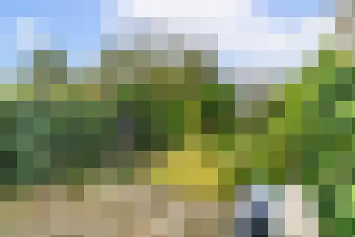Storm van 's-Gravesandeweg 35 Wassenaar thumbnail 9
