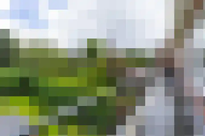 Storm van 's-Gravesandeweg 40 Wassenaar thumbnail 21