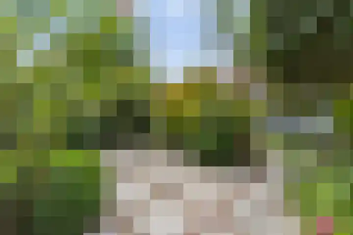 Storm van 's-Gravesandeweg 40 Wassenaar thumbnail 4