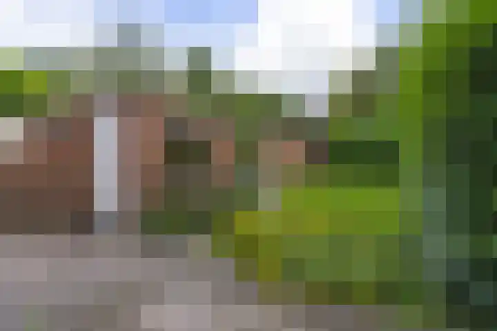 Storm van 's-Gravesandeweg 40 Wassenaar thumbnail 7