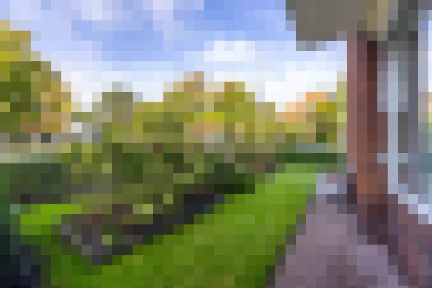 Storm van 's-Gravesandeweg 62 C Wassenaar thumbnail 5