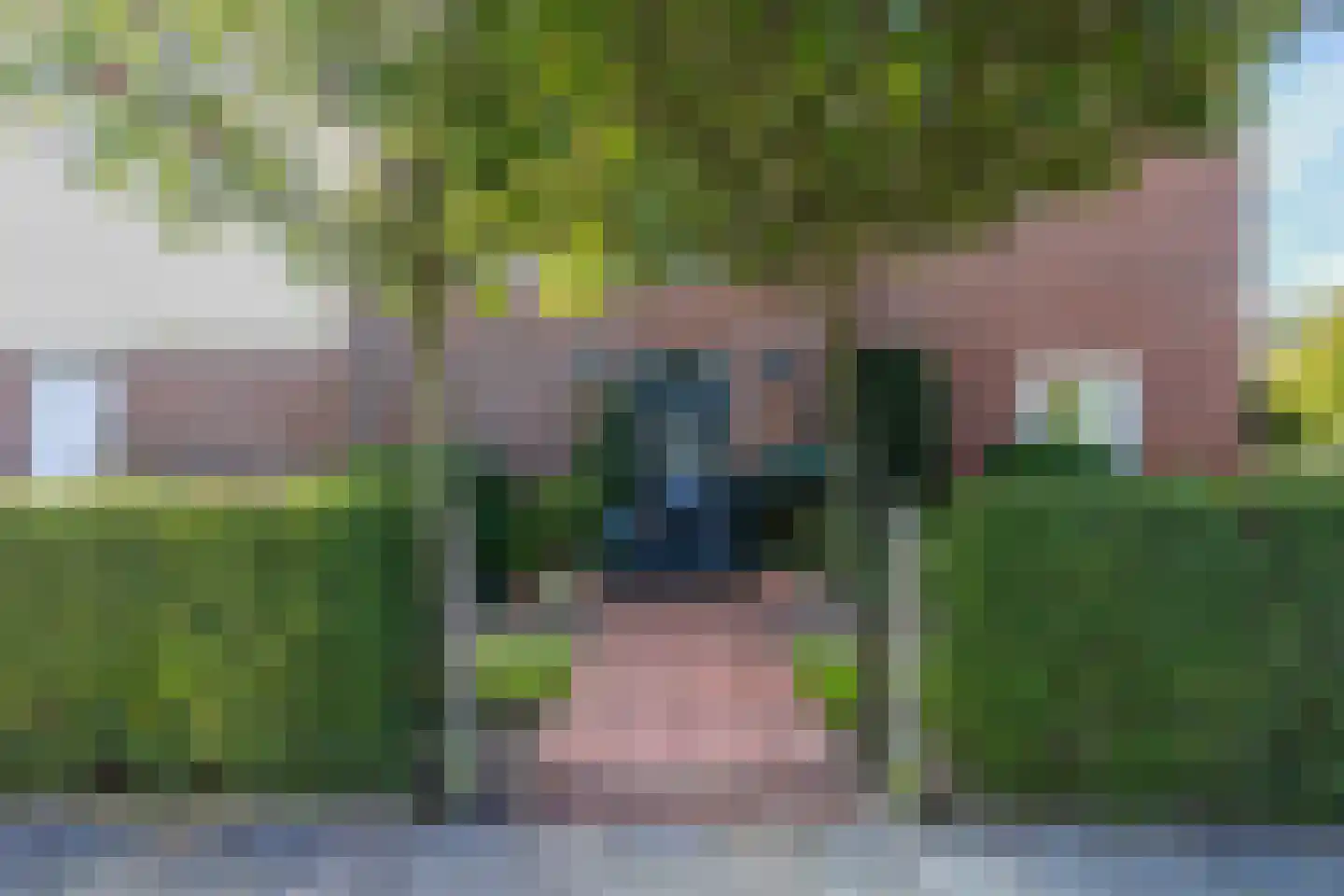 Storm van 's-Gravesandeweg 62 C Wassenaar thumbnail 6
