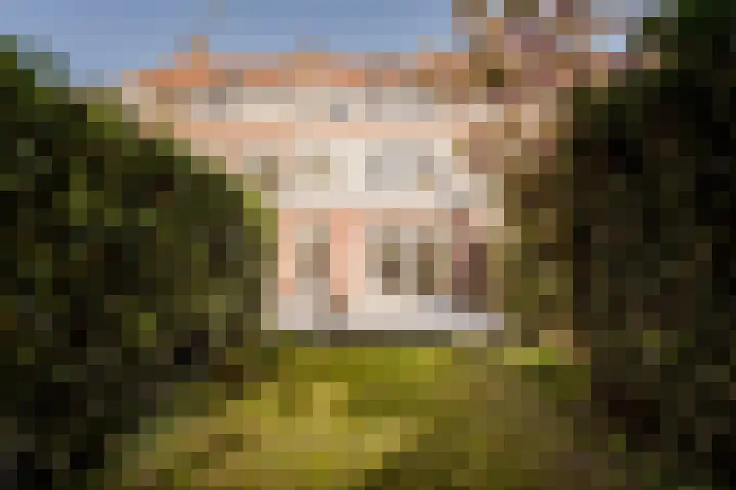 Storm van 's-Gravesandeweg 79 Wassenaar thumbnail 27