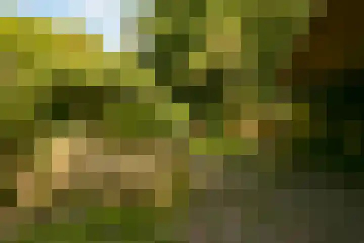 Storm van 's-Gravesandeweg 80 Wassenaar thumbnail 17