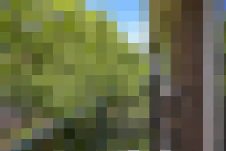 Storm van 's-Gravesandeweg 80 Wassenaar thumbnail 30