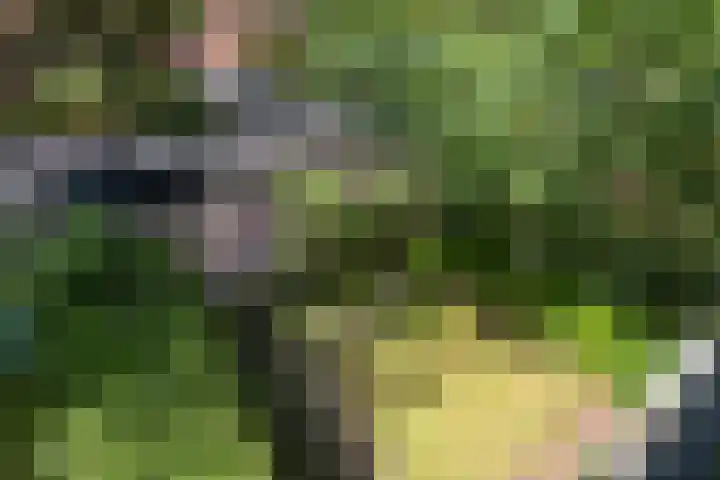 Storm van 's-Gravesandeweg 80 Wassenaar thumbnail 31