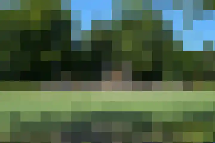 Storm van 's-Gravesandeweg 80 Wassenaar thumbnail 50