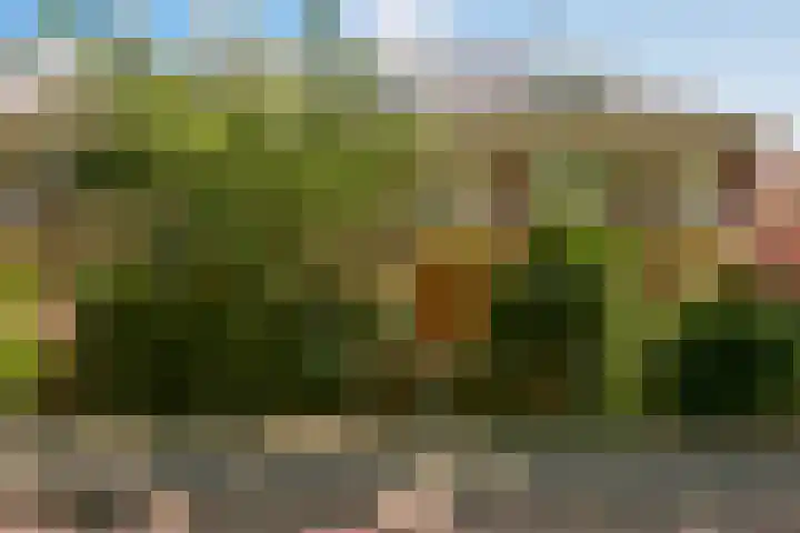 Storm van 's-Gravesandeweg 80 Wassenaar thumbnail 57