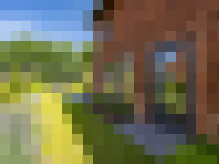 Stormbaan 46 Eefde thumbnail 28