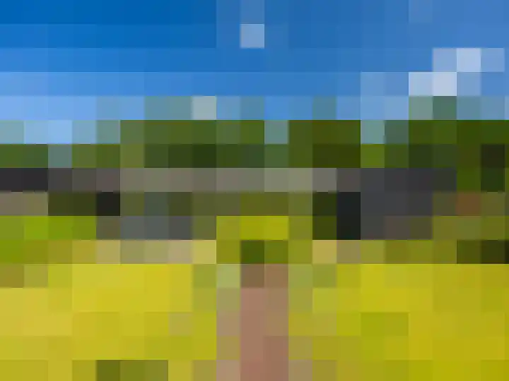 Stormbaan 46 Eefde thumbnail 29