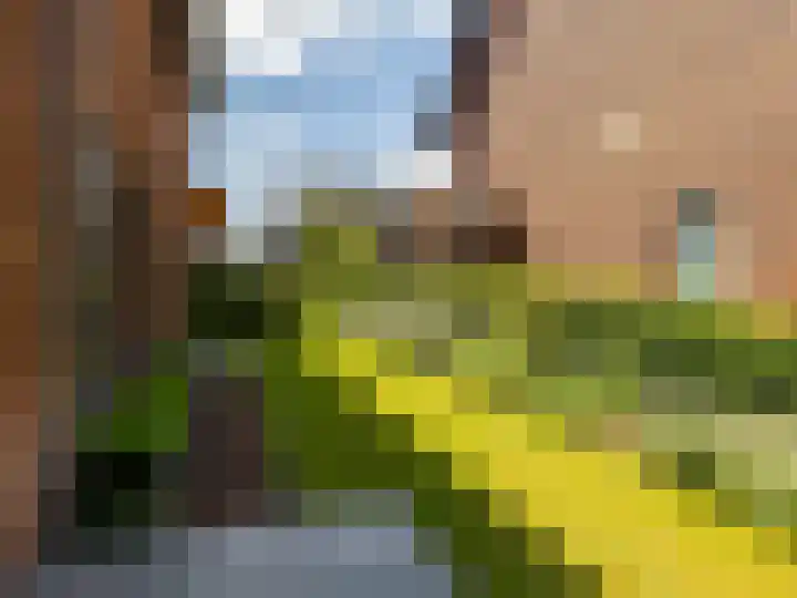 Stormbaan 46 Eefde thumbnail 33