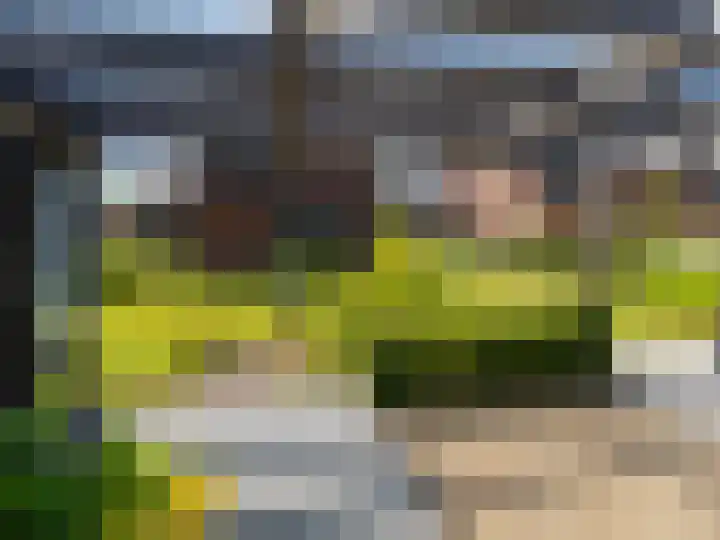 Stormbaan 46 Eefde thumbnail 34