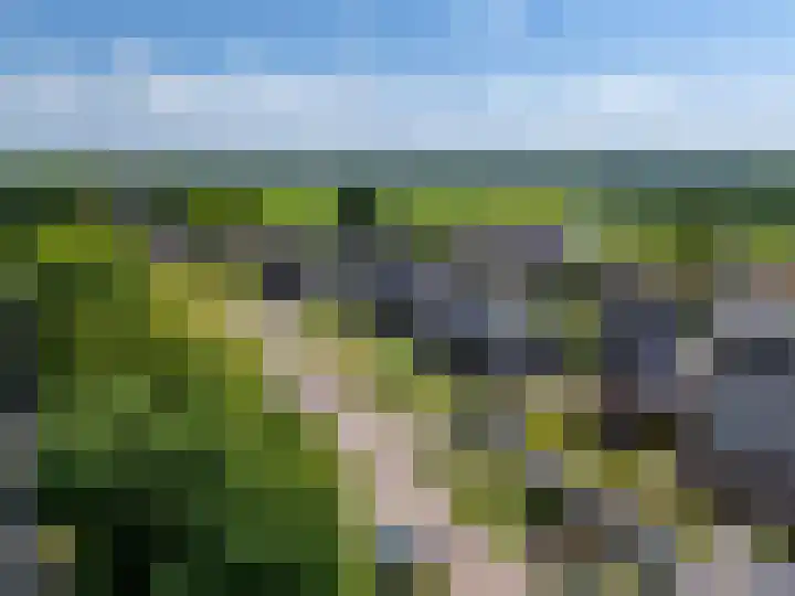 Stormbaan 46 Eefde thumbnail 42