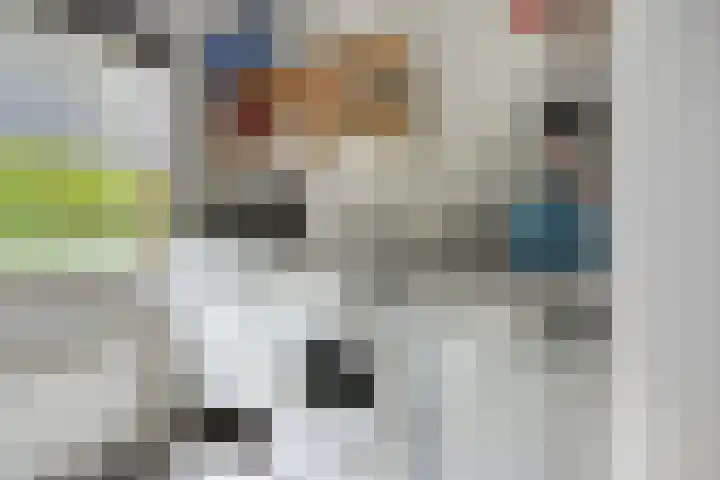 Stormbos 14 Zorgvlied thumbnail 19