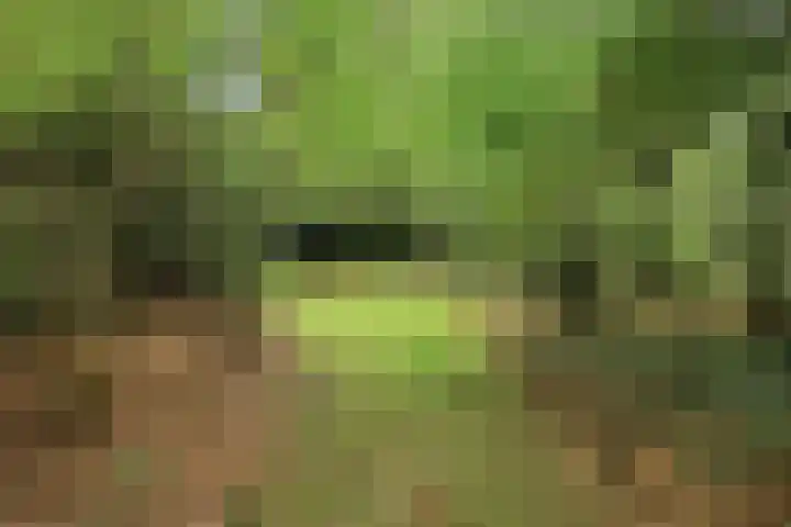 Stormbos 14 Zorgvlied thumbnail 24