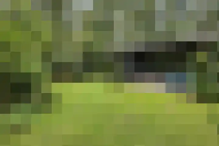 Stormbos 14 Zorgvlied thumbnail 26
