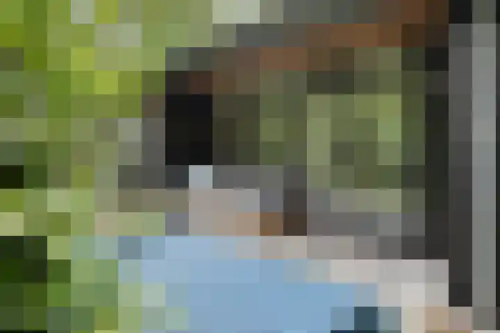 Stormbos 14 Zorgvlied thumbnail 29