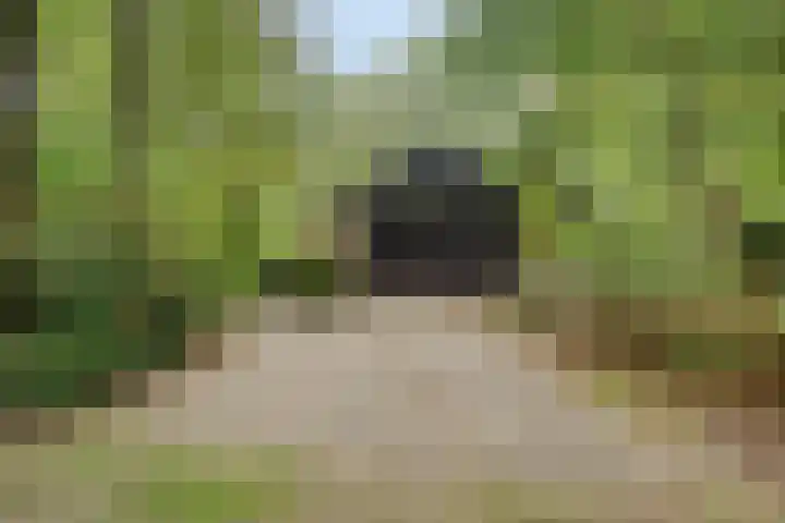 Stormbos 14 Zorgvlied thumbnail 33