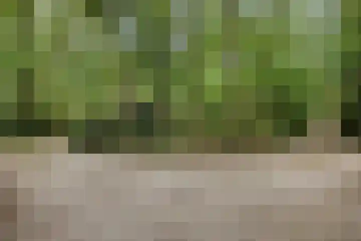 Stormbos 14 Zorgvlied thumbnail 34