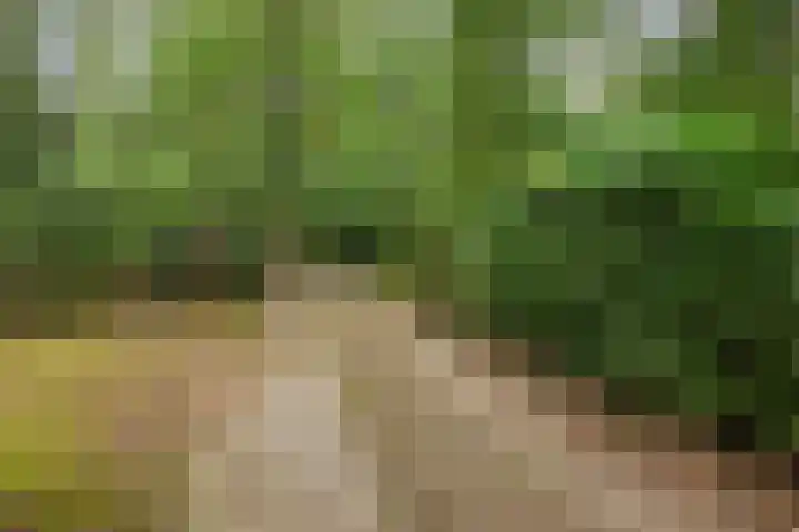 Stormbos 14 Zorgvlied thumbnail 35
